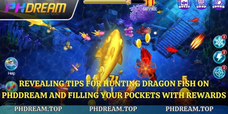 Revealing tips for hunting Dragon Fish on Phdream and filling your pockets with rewards