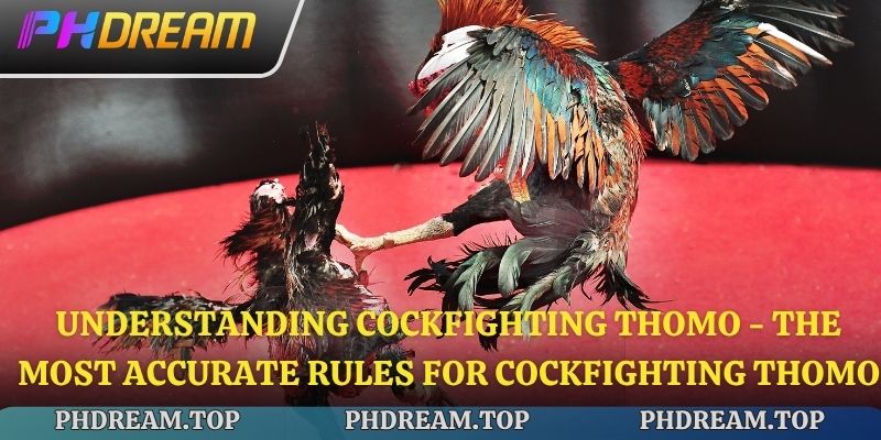 Understanding Cockfighting Thomo - The Most Accurate Rules for Cockfighting Thomo